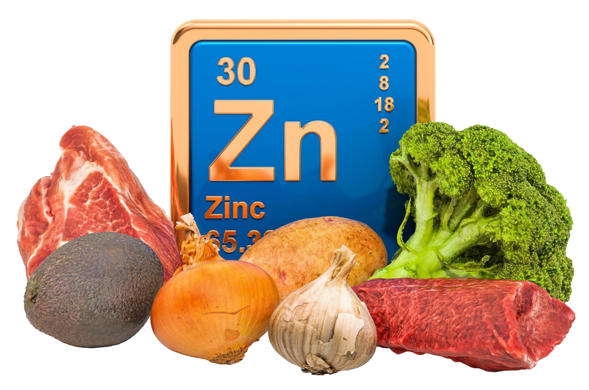 foods highest zinc 3d rendering